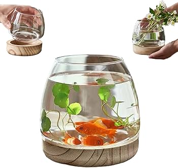 木製 円形金魚鉢 中型 人工水草付き 楽天市場】水槽 金魚鉢 ガラス製 丸型 メダカ鉢 透明 ガラス